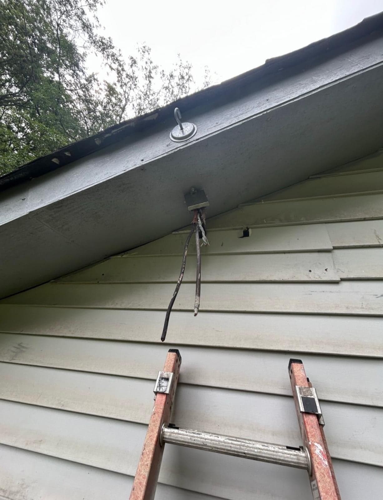Gallery photos for What Happens When a Tree Hits Your Home's Power Line: Image #1